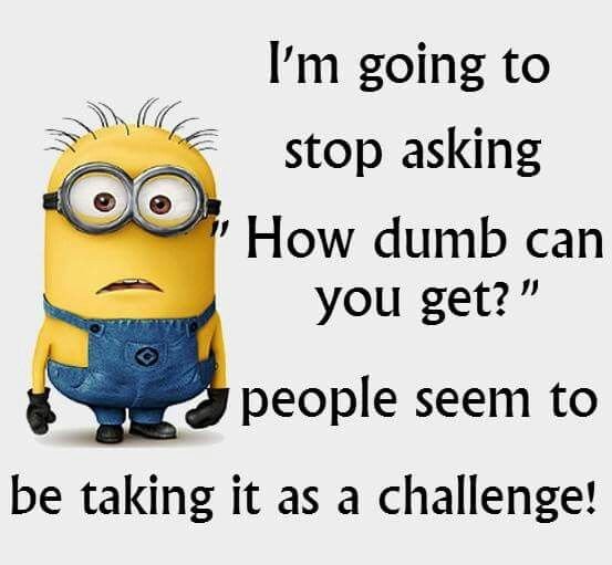 Asking how dumb a person can be is almost seen as a challenge.